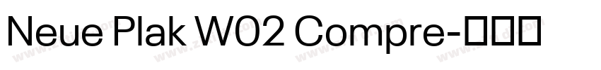 Neue Plak W02 Compre字体转换